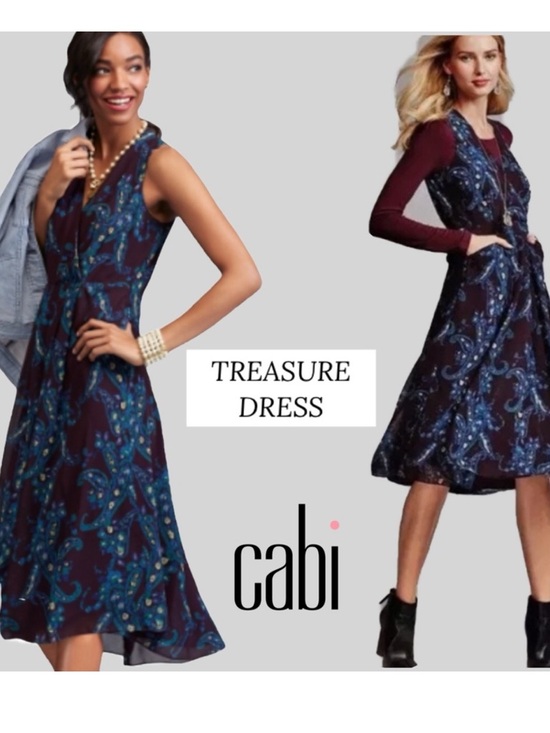 CAbi Dresses & Skirts - CAbi Treasure Paisley #3461 Floral Pocket Midi Dress Blue Plum Short Sleeve 12